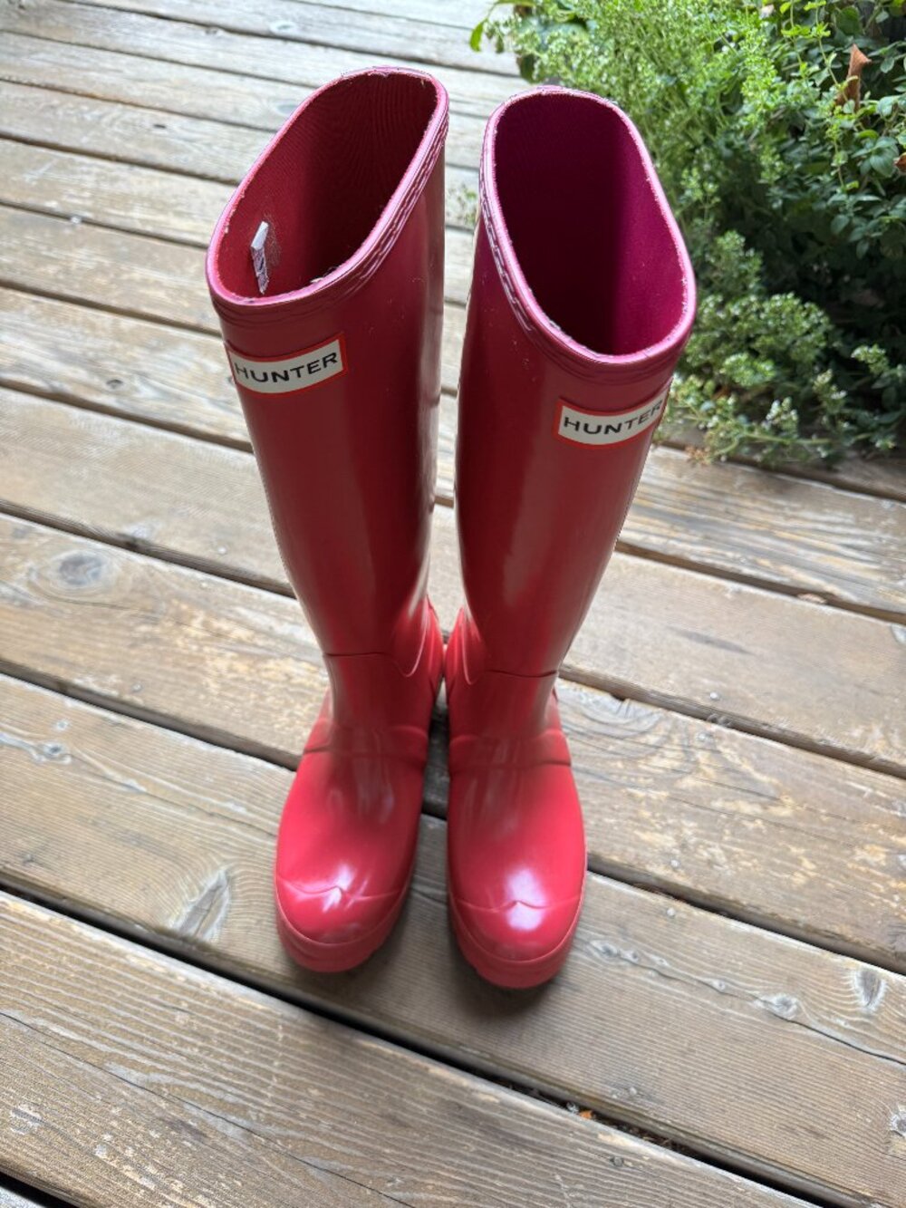 Hunter Vibrant Pink Original Gloss Rain Boots in Women's 6/EU 37